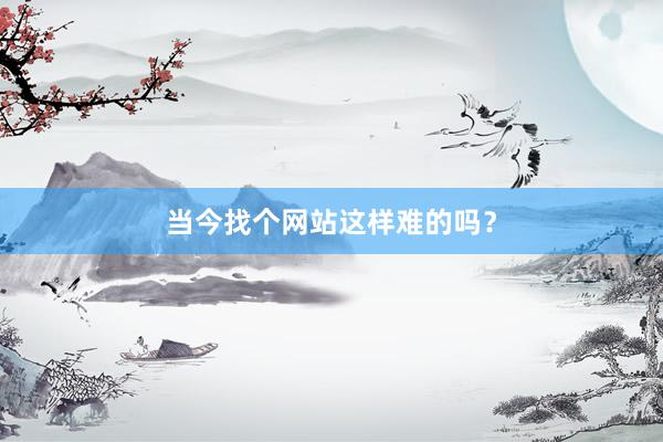 当今找个网站这样难的吗？